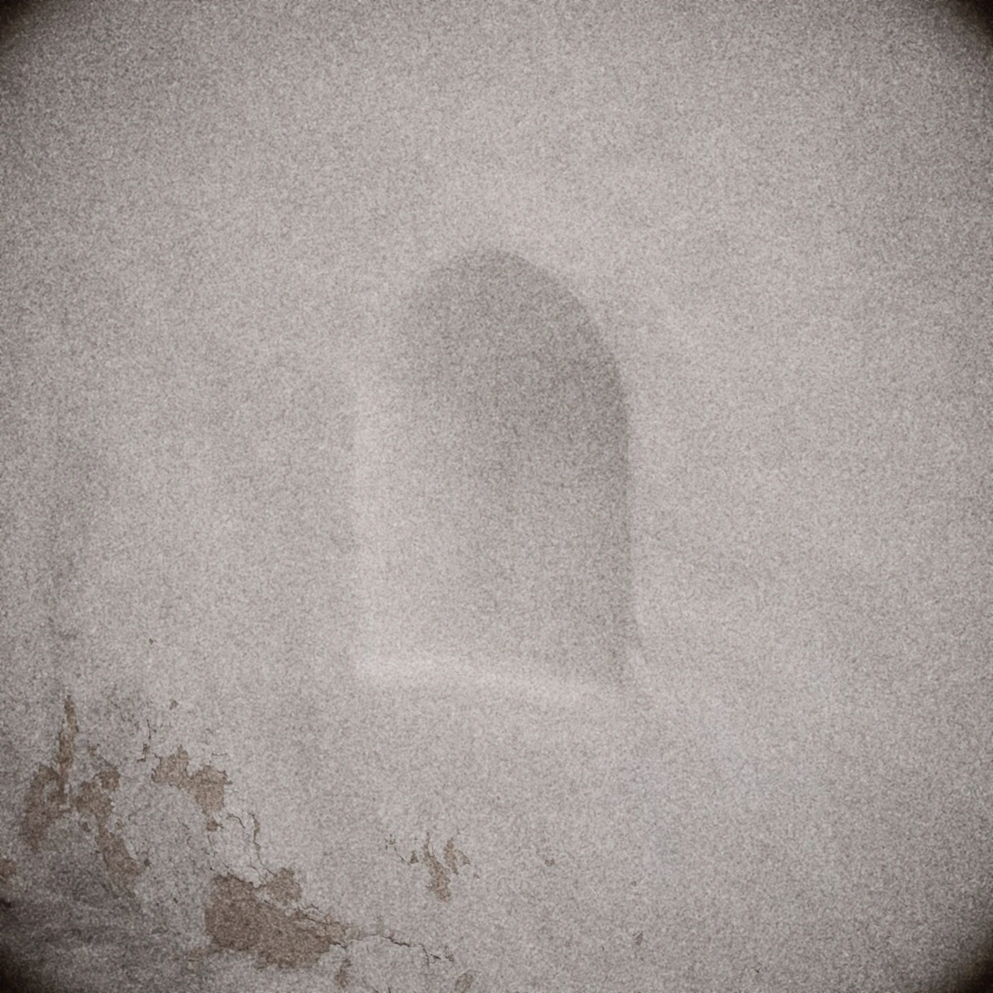 A hand-burnished lime plaster wall